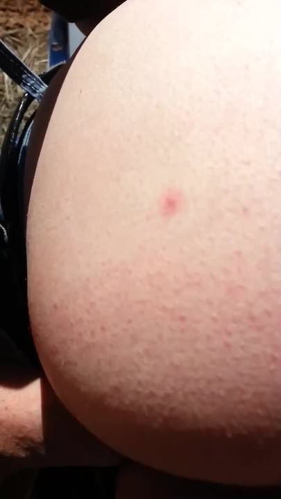Hot outside sex with the wife