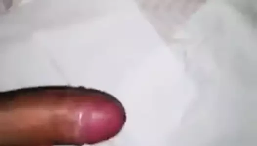 Lechaso