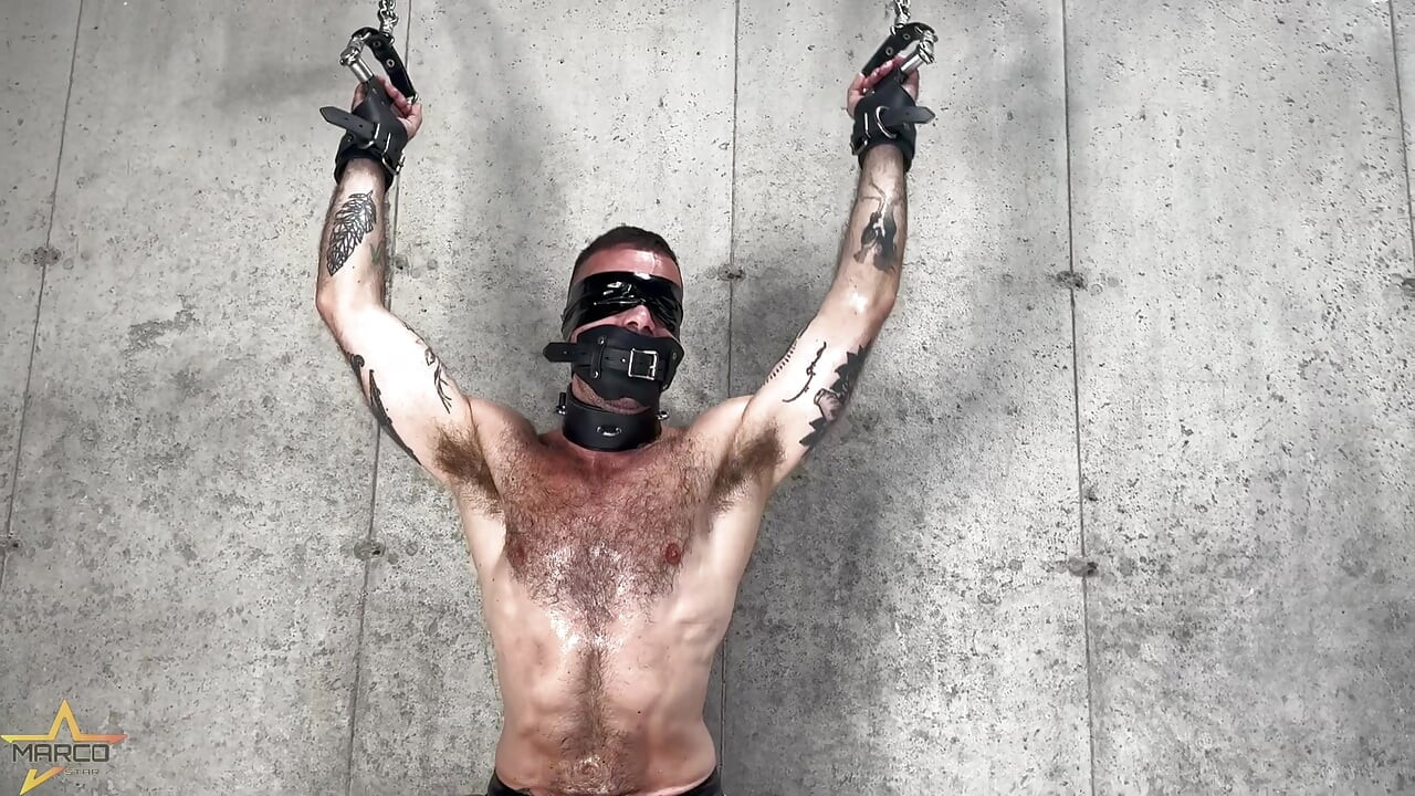 Tito Xbound
