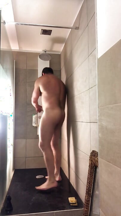 FrenchBear bruser
