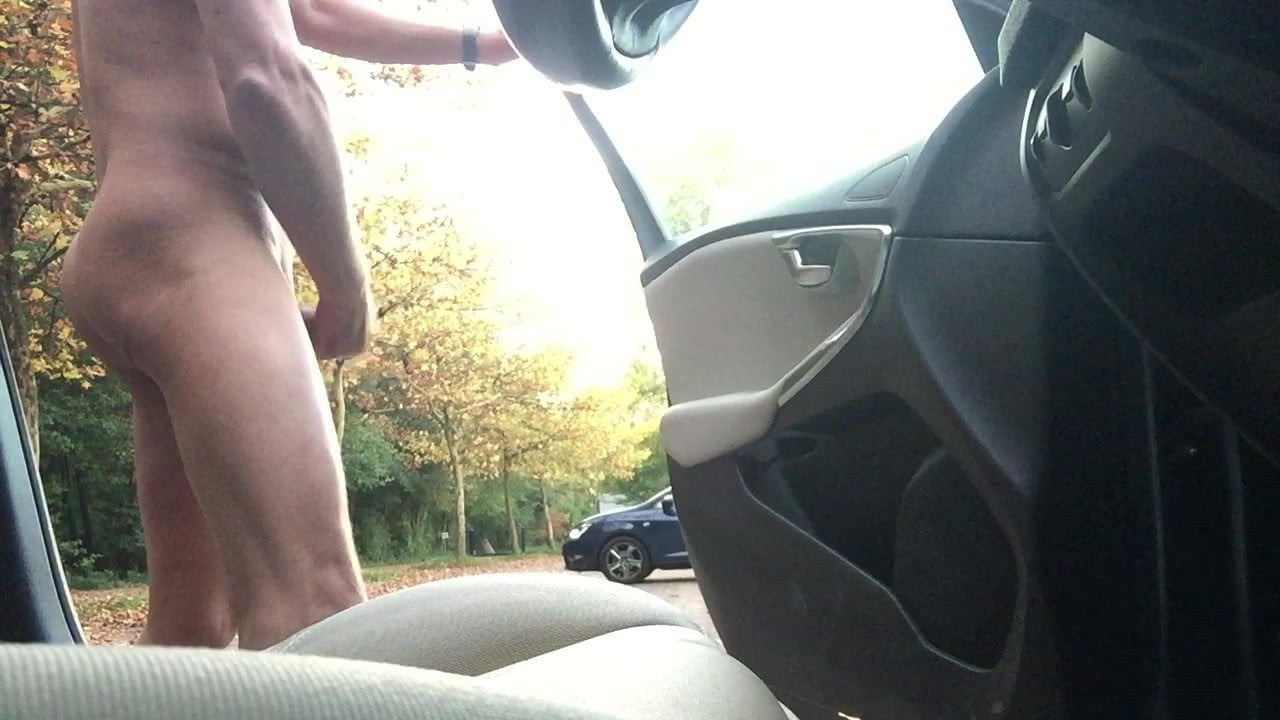 Public, car