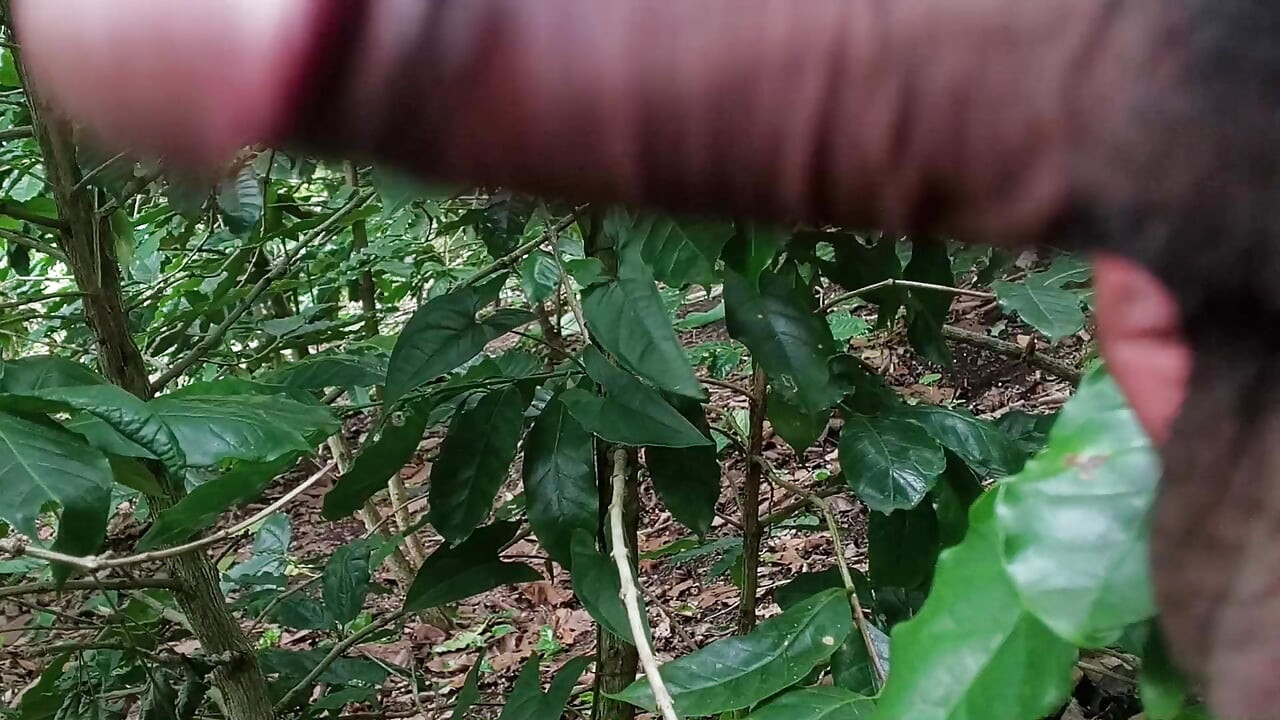 Male Pregnant Passive Swallower