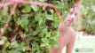 Pratinjau video
