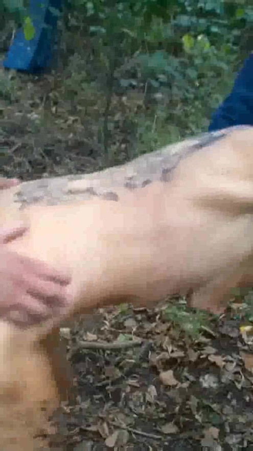 Šukací setkání na dálnici A5 | Klipy 1