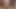 興奮した豚たちに抱かれる可愛くてセクシーな女の子