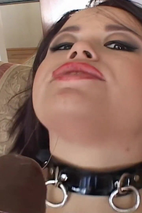 สาวร่านเลียน้ําเงี่ยนจากพื้นหลังจากโดนควยใหญ่เย็ดตูด