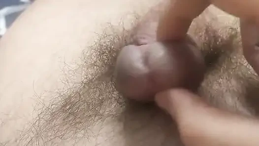 Bolca sperm