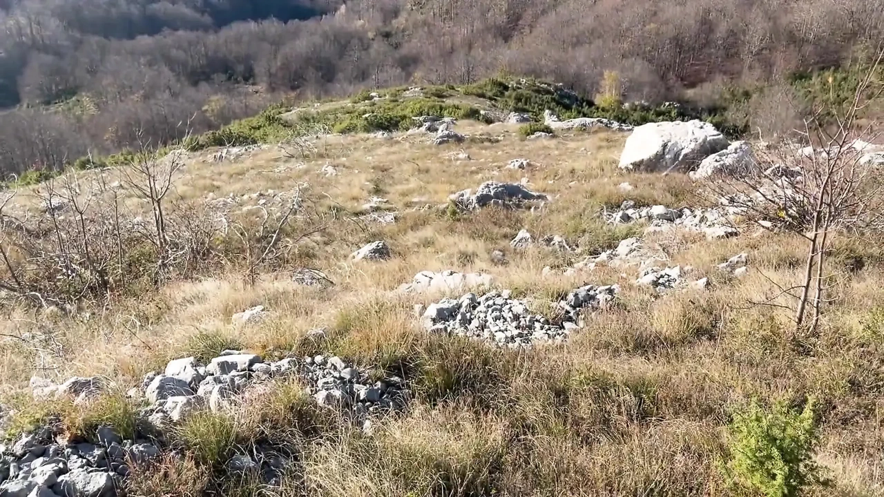 Thổi kèn đi du lịch. Vilu Vidish