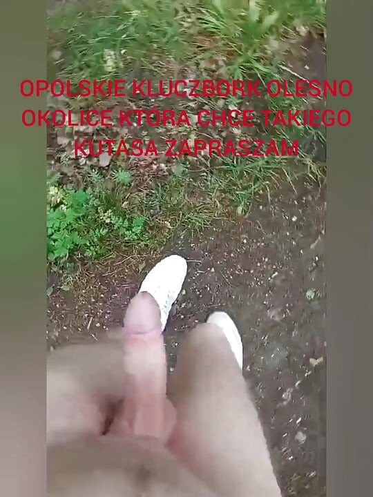 Zadbany Kutas