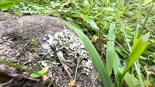 Aku Tidak Pernah Berpikir Sepupu Tiriku Akan Melakukan Ini