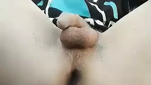 自我吸吮