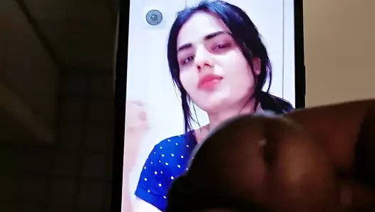 Talep üzerine serat üzerine Tarbiute