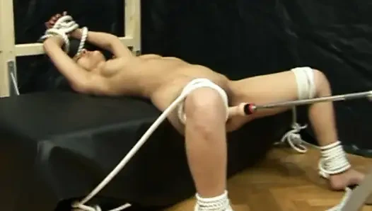 Машина удовольствия экстремальных объектов