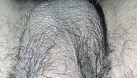 Pene