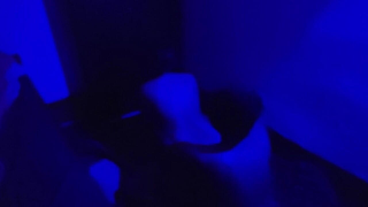 Behan Ko Ghodi Banakar Kar Choda Gandi Gali Vídeo Sexual