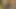 karısı alır onu yağlı KEDİ yemiş ve mastürbasyon ile parmaklar ve vibratör ile çoklu squirts