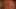 Amazonium Amazonium tasty hot ass riding big dick anal sex intense sweet penetration tasty hard sex