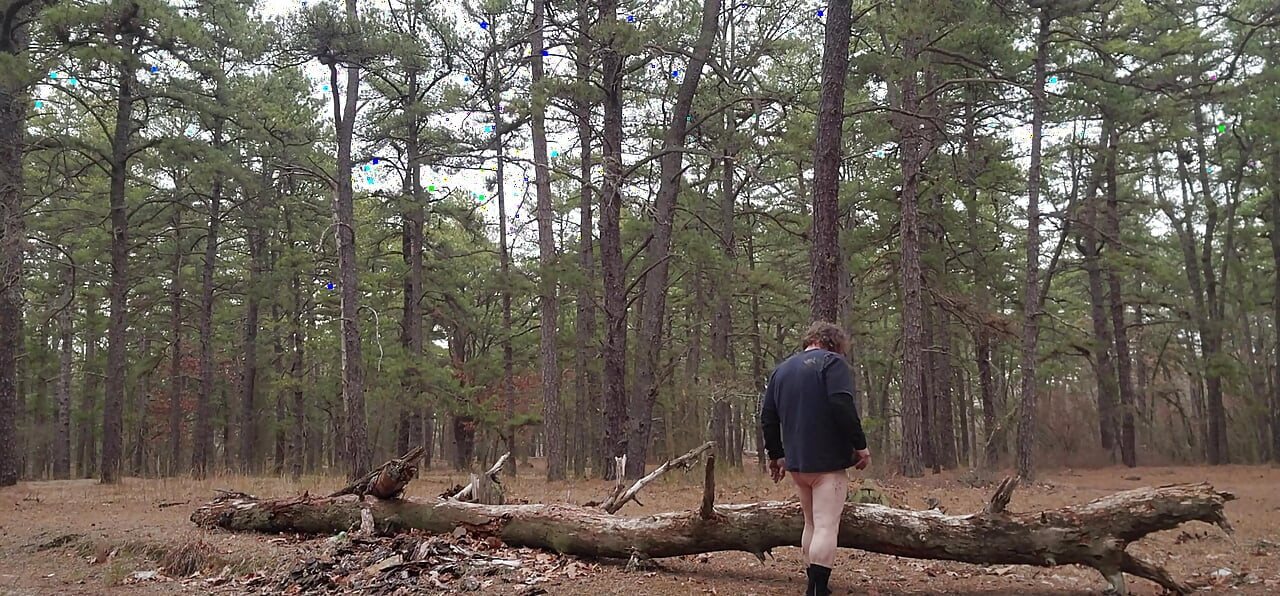 More of out in the woods
