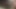 Crni dlakavi crni mladić drka svoj tvrdi kurac ujutro