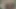 lanet ordu eyersiz çocuklar