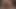 POV double blowjob from two hot blondes