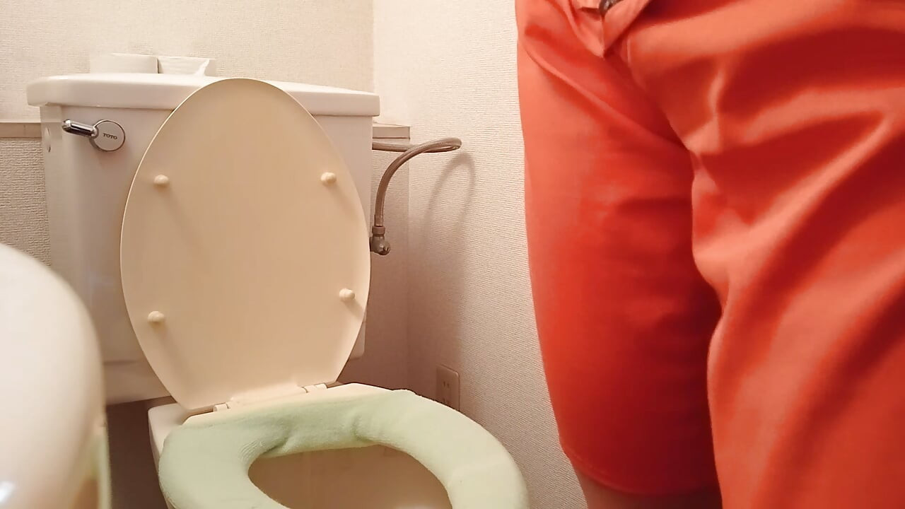 Various toilet scenes