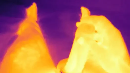 Jerking off with cock ring on thermal camera