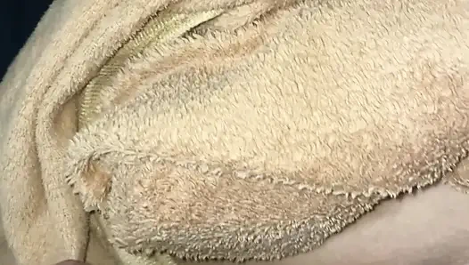 Ngentot ibuku pagi-pagi sampai aku crot di dalam memeknya