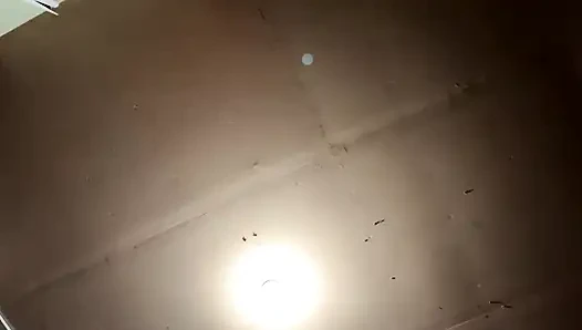 Streaming Dimulai pada 02/18/2024 08:43 Apakah Saya Harap Anda Menangkap yang Ini