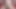 Cum Twice in Row! Worship my Dick!