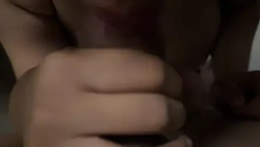 EL Swallow June Compilation