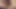 An Affair With My Ovulating Ebony Student Fertilize Creampie