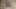 BBW geile Titten
