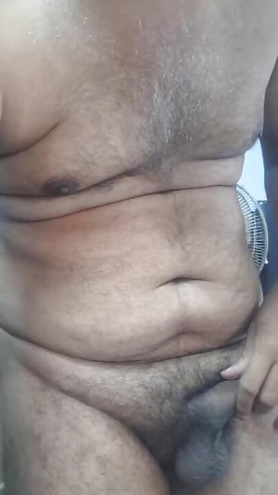 整夜..為您的整個貓咪帶來樂趣...