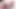 Dev baştankara kız tgirl chanel santini barebacking transeksüel