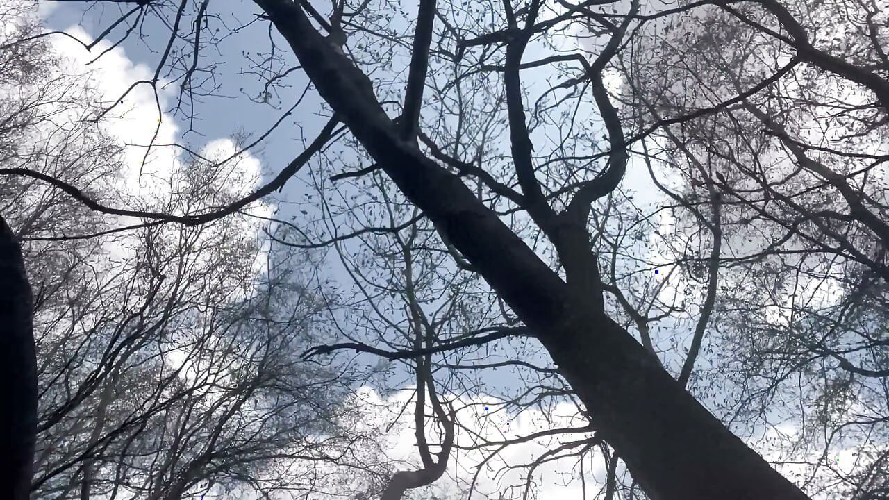 Анал в лесу, часть 1