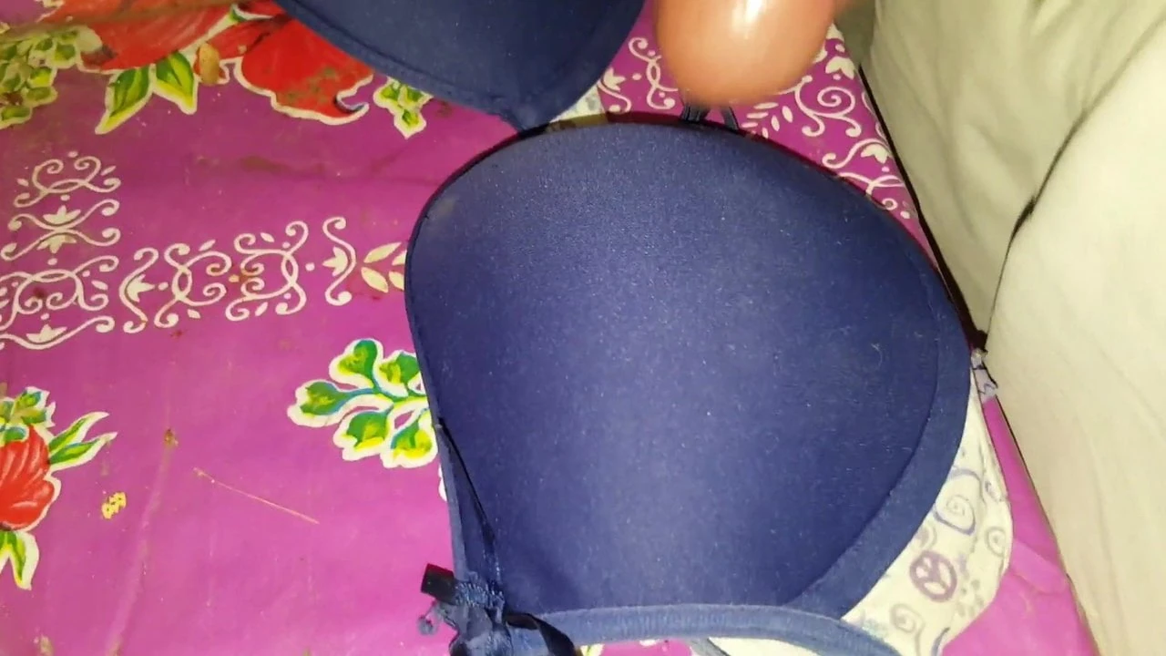 Coli biru Cynthia