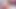 Cewek seksi rambut cokelat dengan toket besar lagi asik muasin memeknya pakai vibrator sampai orgasme - ElizabethAdams_