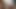 Siri 4