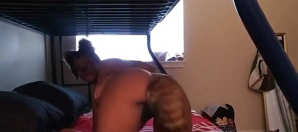 Kitty oyun zamanı istiyor