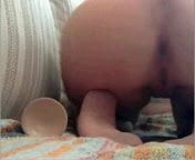 belle ass arbe