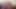 Dik lezbiyen dolgunlaştırıcılar angelina ve amazon darjeeling wanks