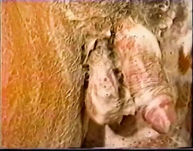 Lutadores de corpo duro lutam e depois tomam um banho sensual