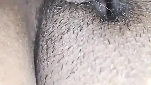 Seven months of pregnancy