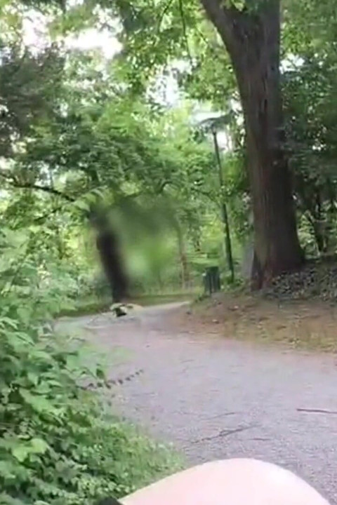 Public Masturbated in the Park & Everyone Saw Me