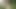 fucking in field