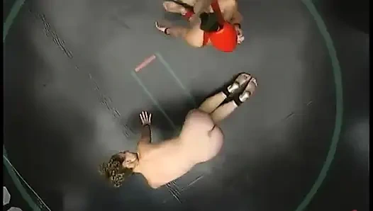 Crimson ninja (0-0) vs. lula (0-0)