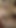 Captivating moment from "Blonde Cutie Sophia Sweet Loves Sutffing Her Pussy With A Big Dildo!"