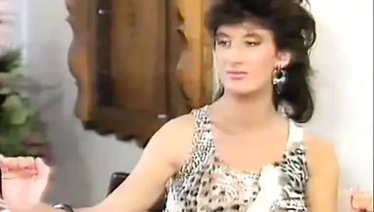 The Perfect Stranger (1988)