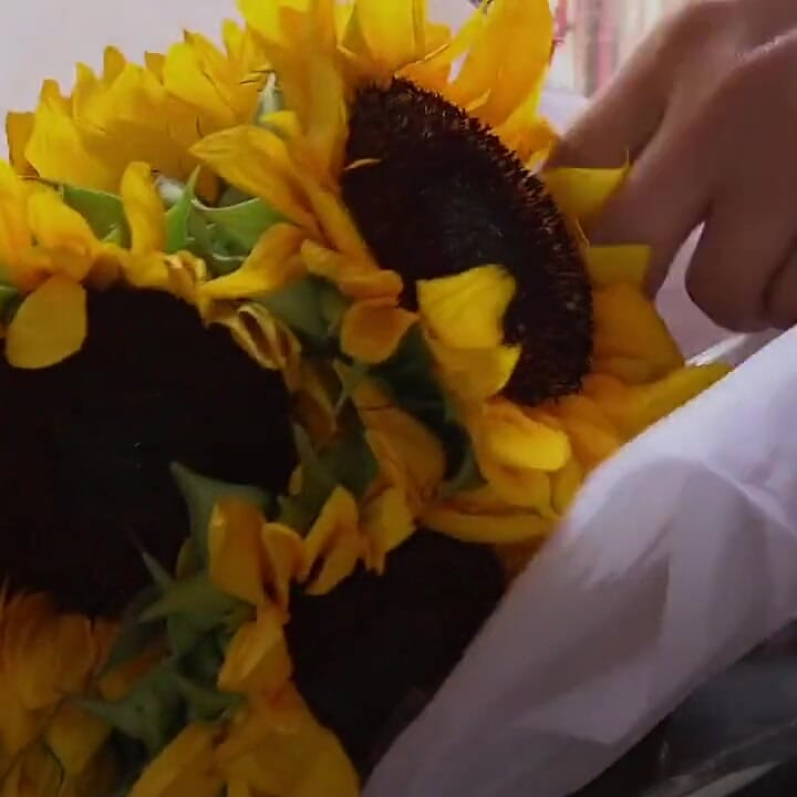 A Lotta Bright Sunshyne for Jonah